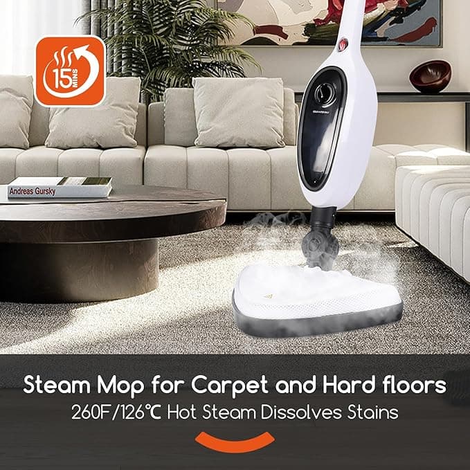 Steam Mop with Attachments